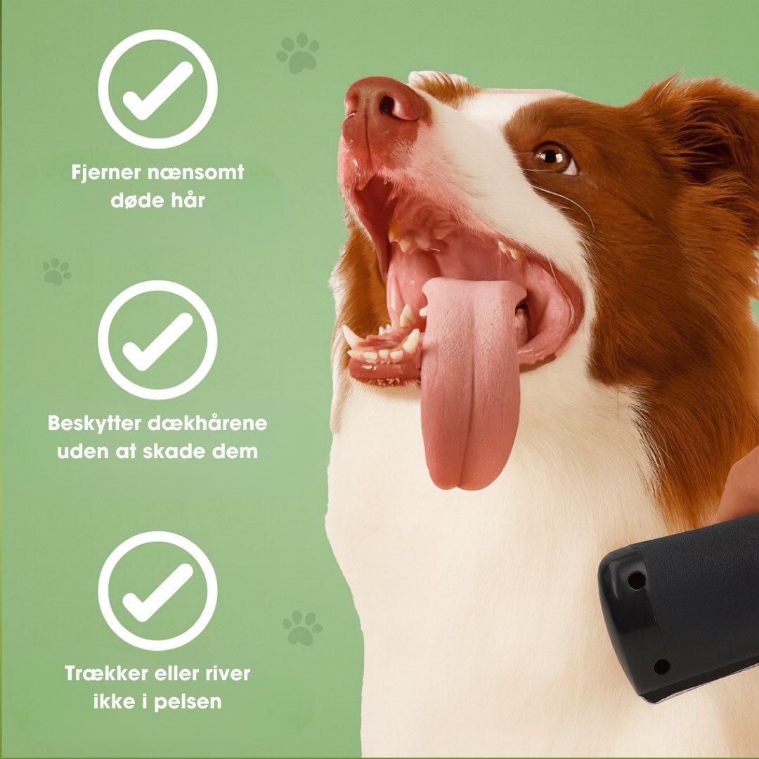 ShedGuard™ – Hundebørste der hurtigt fjerner løse hår